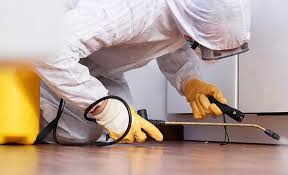 Best Pest Prevention Services  in Tubac, AZ